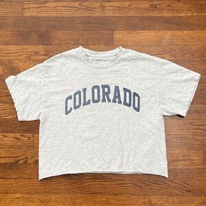 Brandy Melville John Galt Gray Colorado Crop Tee Shirt